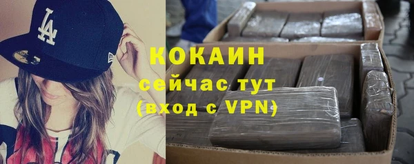 сатива Арсеньев