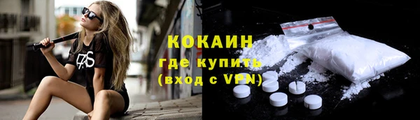 сатива Арсеньев