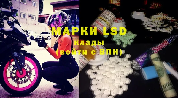 MDMA Premium VHQ Новозыбков