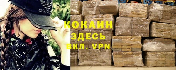 сатива Арсеньев