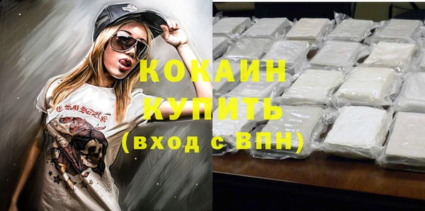 сатива Арсеньев