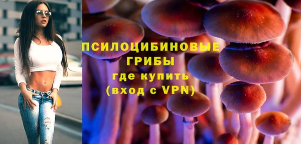 соль ск Аркадак