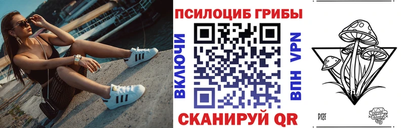 Галлюциногенные грибы Psilocybine cubensis  Ликино-Дулёво 